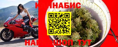 кокс Кандалакша