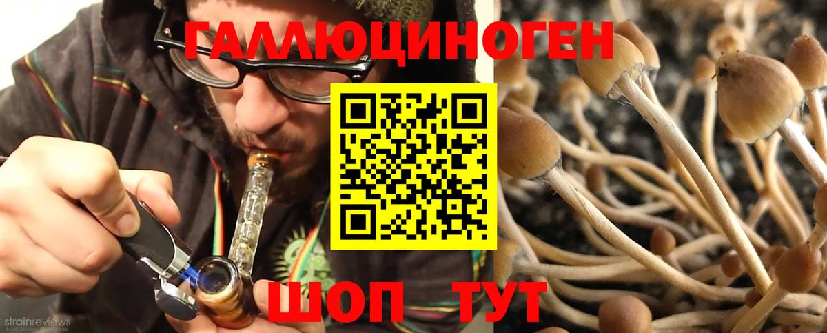 Псилоцибиновые грибы мухоморы  Вход с VPN  Йошкар-Ола 